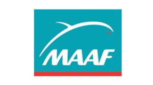 Maaf